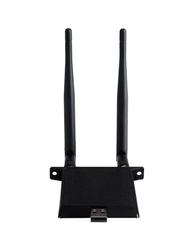 Viewsonic VB-WIFI-001 adaptador y tarjeta de red WLAN   Bluetooth
