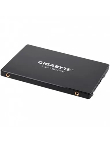 Gigabyte GP-GSTFS31240GNTD