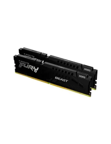 Kingston Technology FURY Beast