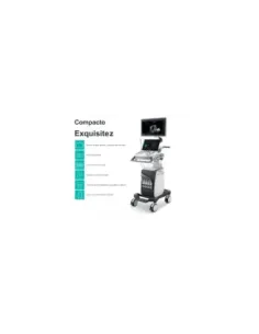 SONOSCAPE ECOGRAFO P10 C-FIELD BEAM, U-SCAN, COLOR DINAMICO HD FLOW, IMÁGENES ESPECIFICAS DE TEJIDOS