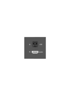 KRAMER ROOM CONNECTIVITY PASSIVE BLACK MODULE WITH 1 HDMI PORT + 1 USBB PORT INPUT.- MD-H+B/AF(B) (80-000358)