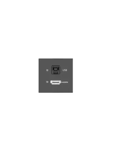 KRAMER ROOM CONNECTIVITY PASSIVE BLACK MODULE WITH 1 HDMI PORT + 1 USBB PORT INPUT.- MD-H+B/AF(B) (80-000358)