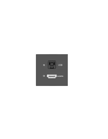 KRAMER ROOM CONNECTIVITY PASSIVE BLACK MODULE WITH 1 HDMI PORT + 1 USBB PORT INPUT.- MD-H+B/AF(B) (80-000358)
