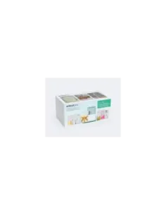 JOY GIFT BUNDLE 2024 (KIT DE REGALO)