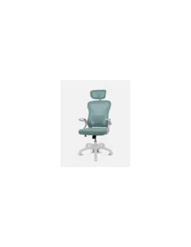 DRIFT DRAIR35 Silla para videojuegos universal