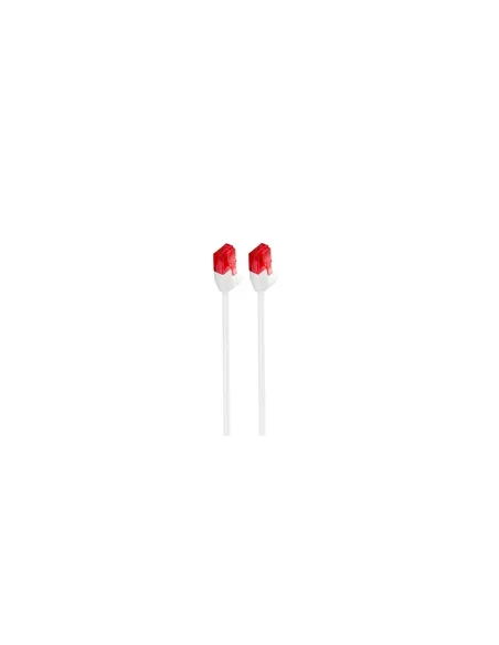 Ewent IM1037 cable de red 1 m Cat6 U/UTP (UTP) Blanco