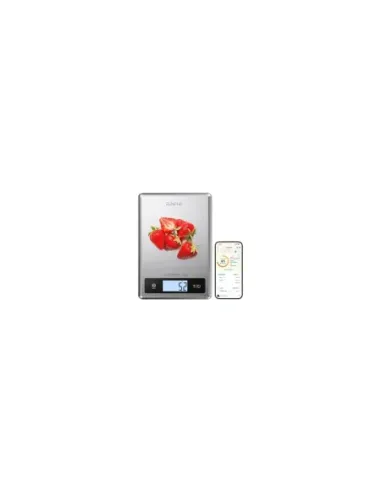 RENPHO CALIBRA 1 - SMART NUTRITION SCALE - BLE - GREY STAINLESS STEEL (UP TO 11LB/5KG)