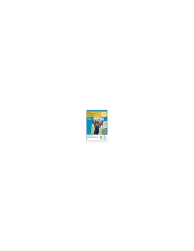 Papel hp fotografico satinado q8691a 250gr 10x15 25 hojas