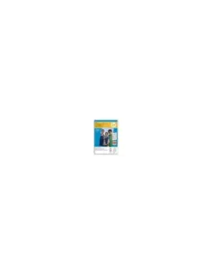 Papel hp fotografico glossy q8692a 10x15 100 hojas