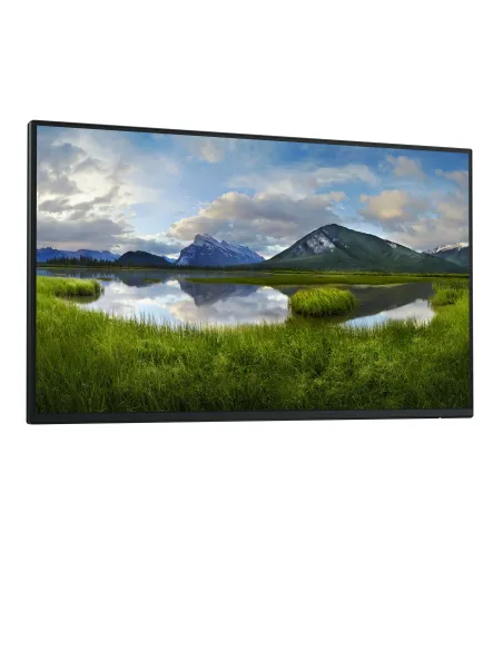 DELL Pro Plus P2425H_WOST pantalla para PC 61 cm (24") 1920 x 1080 Pixeles Full HD LCD Negro