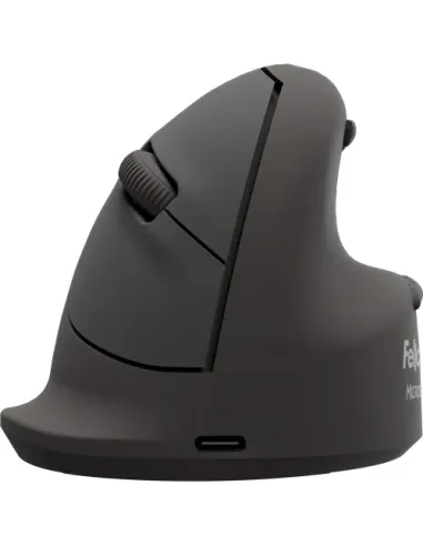 Fellowes 100143582 ratón Universal mano derecha Bluetooth + USB Type-C Óptico 2400 DPI