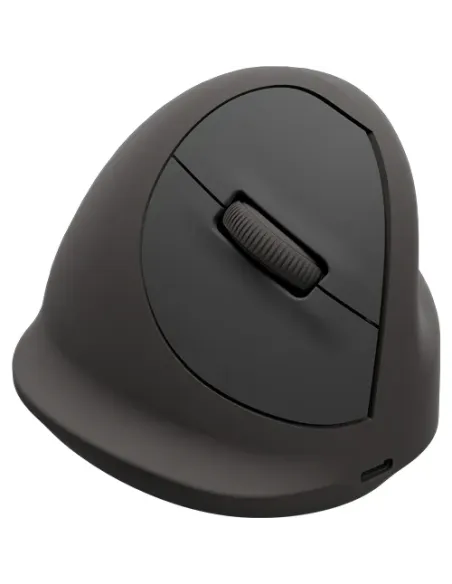 Fellowes 100143582 ratón Universal mano derecha Bluetooth + USB Type-C Óptico 2400 DPI