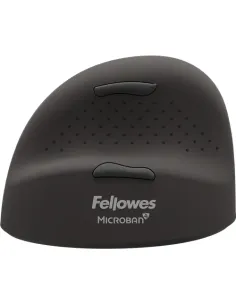 Fellowes 100143583 ratón Universal Izquierda Bluetooth + USB Type-C Óptico 2400 DPI 2