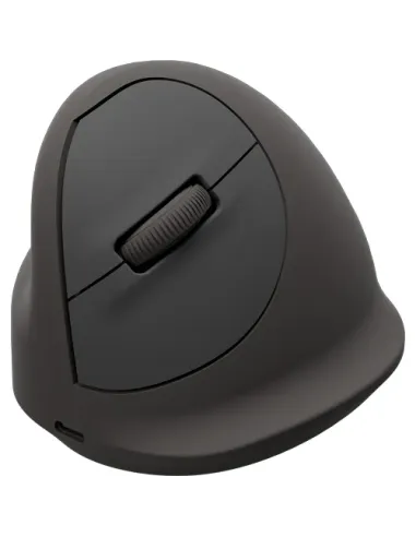 Fellowes 100143583 ratón Universal Izquierda Bluetooth + USB Type-C Óptico 2400 DPI