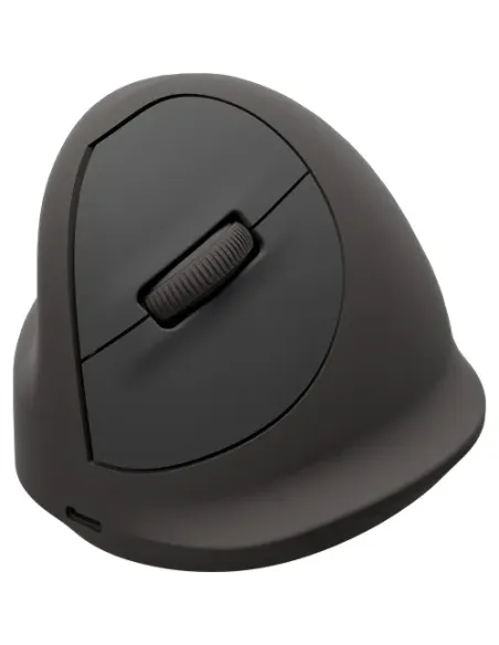 Fellowes 100143583 ratón Universal Izquierda Bluetooth + USB Type-C Óptico 2400 DPI