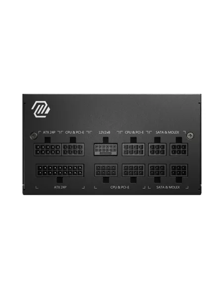 MSI MAG A750GL PCIE5 unidad de fuente de alimentación 750 W 20+4 pin ATX ATX Negro