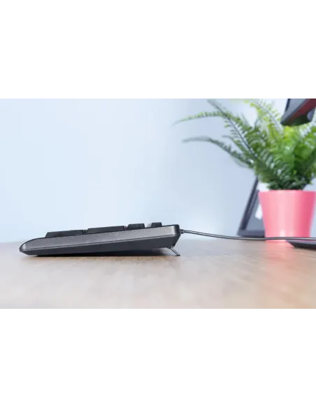 Trust Primo teclado Ratón incluido Universal USB QWERTY Español Negro