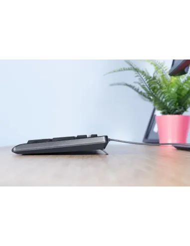 Trust Primo teclado Universal USB QWERTY Español Negro