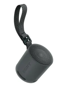 Sony SRS-XB100 Altavoz monofónico portátil Negro 2