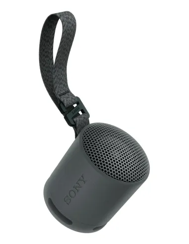 Sony SRS-XB100 Altavoz monofónico portátil Negro