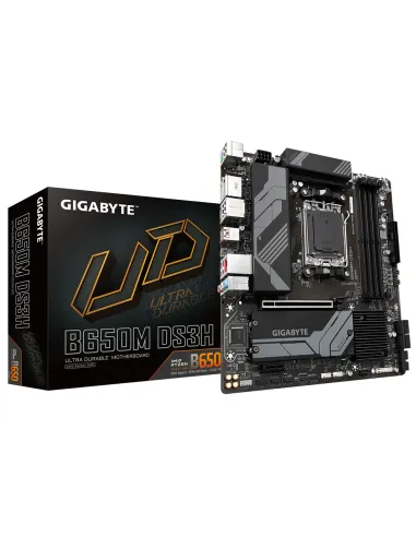 Gigabyte B650M DS3H