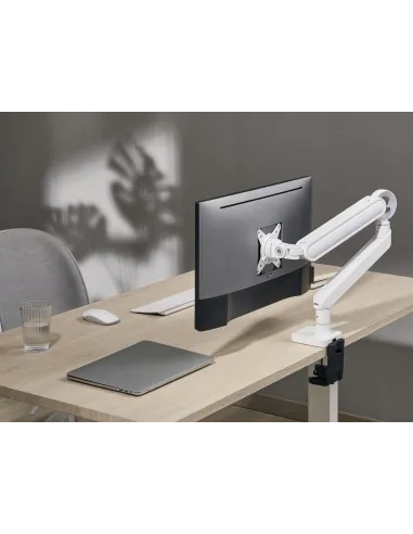 Equip Soporte de escritorio para monitor de 17«-35», blanco