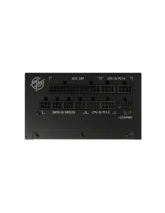 MSI MPG A1000G PCIE5 unidad de fuente de alimentación 1000 W 20+4 pin ATX ATX Negro 2