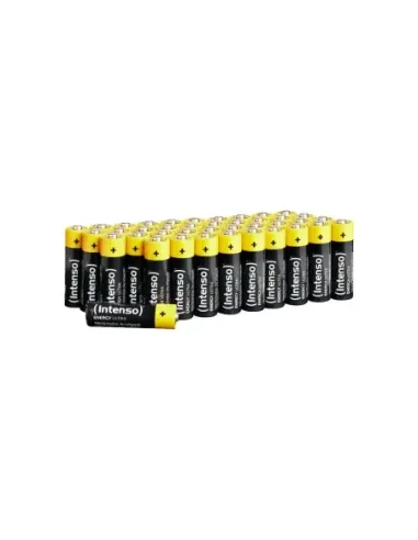 Intenso | Pila Alcalina AA LR6 100 pcs