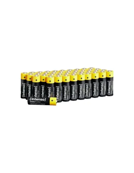 Intenso | Pila Alcalina AA LR6 100 pcs