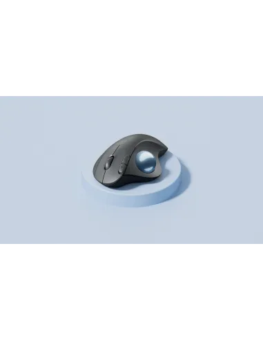 Logitech 910-006221 ratón Oficina mano derecha Bluetooth Trackball 2000 DPI