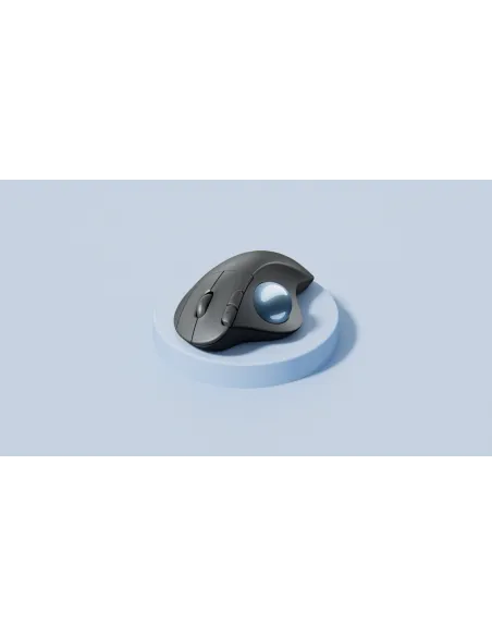 Logitech 910-006221 ratón Oficina mano derecha Bluetooth Trackball 2000 DPI