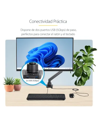 StarTech.com ARMSLIM2USB3 soporte para monitor 86,4 cm (34") Escritorio Negro