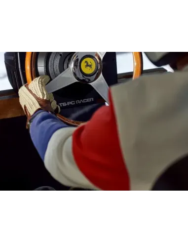 Thrustmaster 2960822 accesorio de controlador de juego Volante de carreras