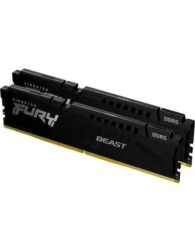 Kingston Technology FURY Beast