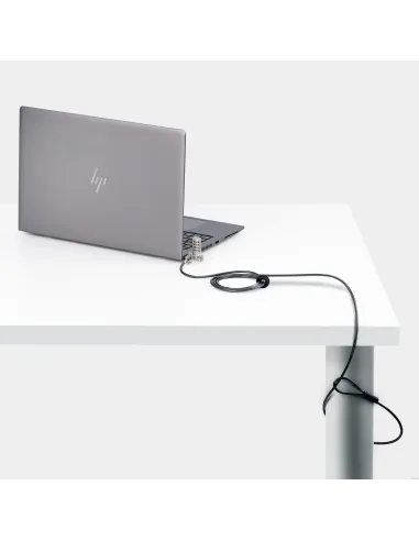 StarTech.com Cable de 2m Universal de Seguridad para Portátiles - Cable con Candado para Portátiles Compatible con Noble