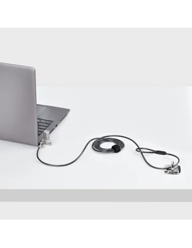 StarTech.com Cable de 2m Universal de Seguridad para Portátiles - Cable con Candado para Portátiles Compatible con Noble