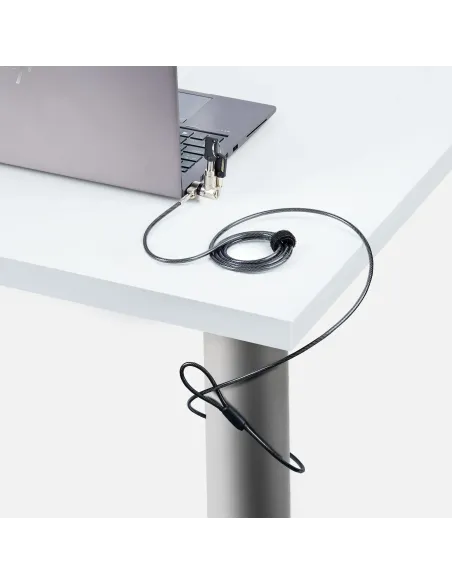 StarTech.com Cable de 2m Universal de Seguridad para Ordenador Portátil - Cable de Bloqueo Compatible con Noble