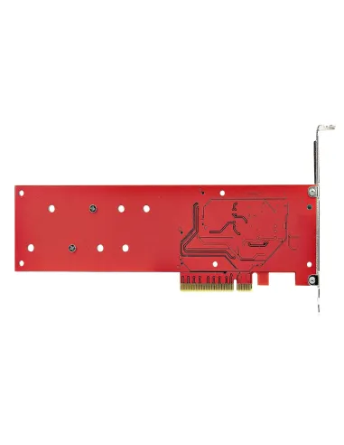StarTech.com Tarjeta PCIe Adaptadora para 2 SSDs M.2, PCI Express x8 o x16 a NVMe Doble o SSDs M.2 AHCI, PCI Express 4.0,