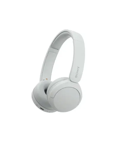 Sony WH-CH520