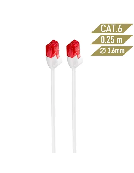 Ewent IM1035 cable de red Blanco 0,25 m Cat6 U UTP (UTP)