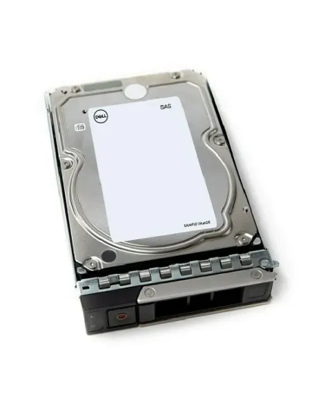 DELL 161-BCJX disco duro interno 12 TB 7200 RPM 3.5" NL-SAS