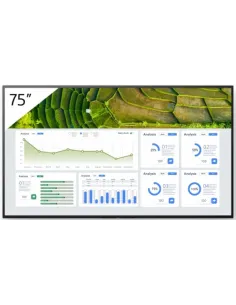 Sony FW-75BZ30L pantalla de señalización Pantalla plana para señalización digital 190,5 cm (75") LCD Wifi 440 cd   m² 4K Ultra