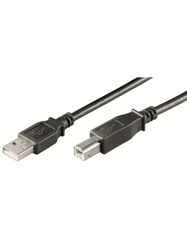 Ewent EC1005 cable USB USB 2.0 3 m USB A USB B Negro