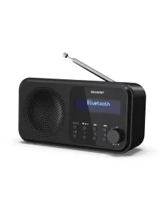 Sharp DR-P420 Portátil Digital Negro 2