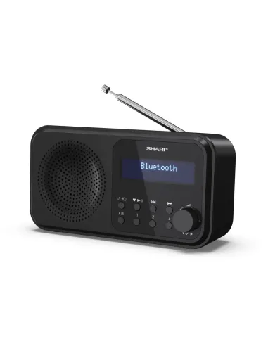 Sharp DR-P420 Portátil Digital Negro