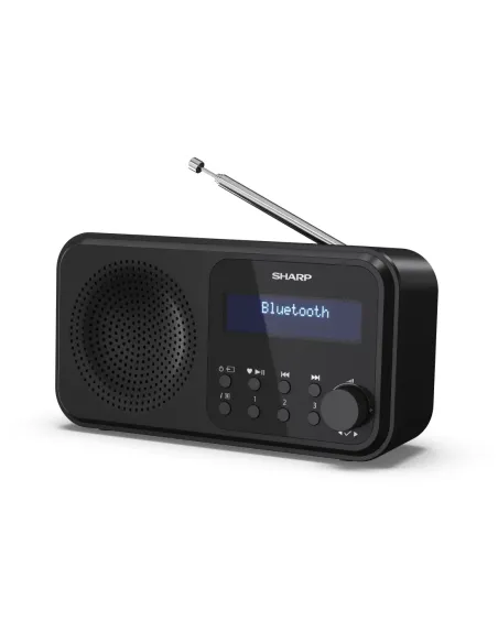 Sharp DR-P420 Portátil Digital Negro
