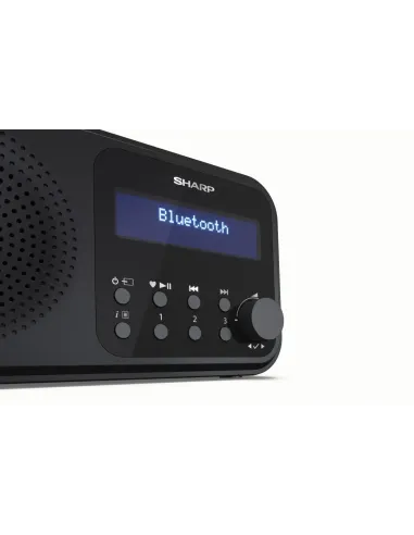 Sharp DR-P420 Portátil Digital Negro