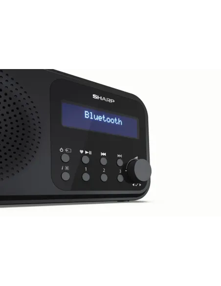 Sharp DR-P420 Portátil Digital Negro