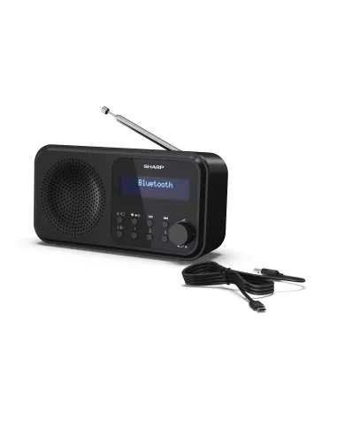 Sharp DR-P420 Portátil Digital Negro