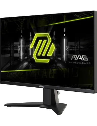 MSI MAG 255F E20 pantalla para PC 62,2 cm (24.5") 1920 x 1080 Pixeles Full HD LCD Negro